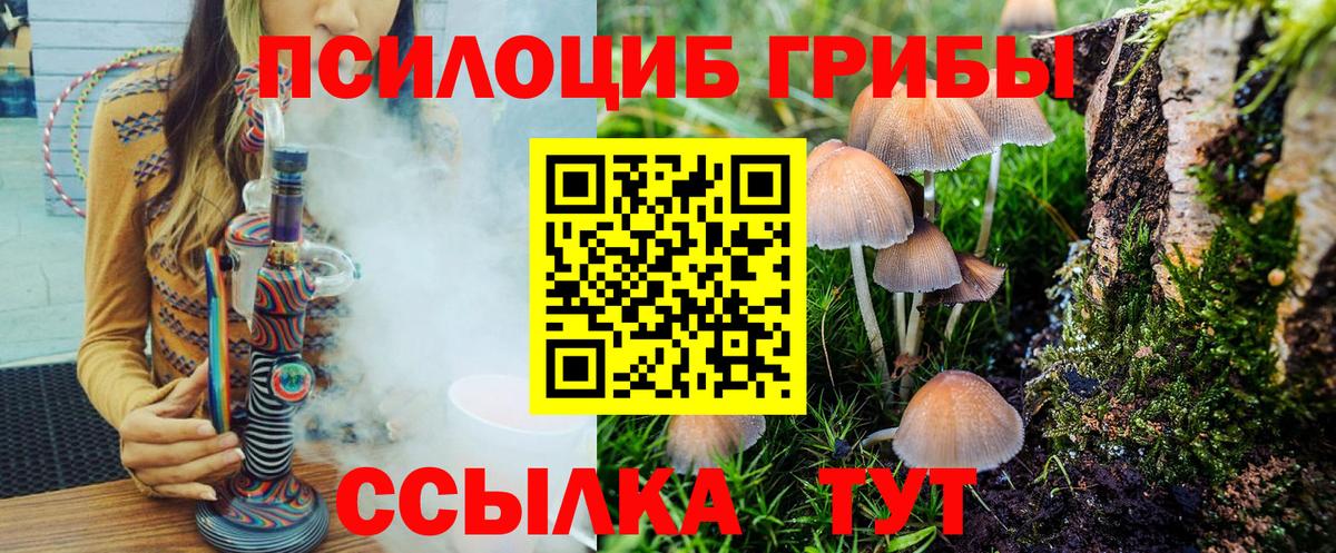 Сыктывкар  хочу наркоту  Вход с VPN  Псилоцибиновые грибы ЛСД 