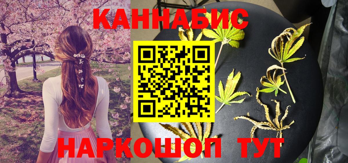 Каннабис планчик Сыктывкар
